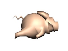 TruffelHunter1 TruffelHunter1